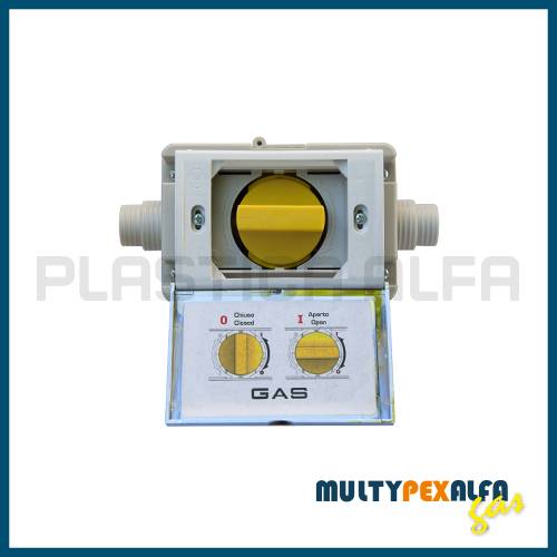 Valvola a sfera con scatola multypexalfa Plastica Alfa
